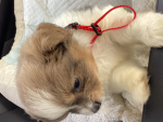 The adoption center :)
