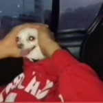 E how are you?