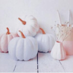 ✧🎃･ﾟ: *✧👻:*