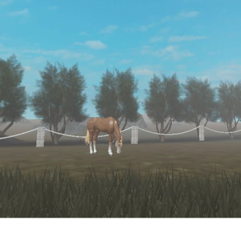 Apple Tree OTTB Rehabilitation