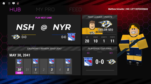 hockey noobs