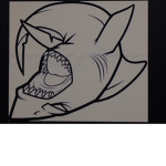 Shark groups