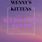 Wenny's Kittens! (OFFICIAL GRUOP)