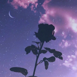 xBluetears