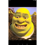 Shrek fans ONLY!!!