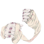 .KánTo