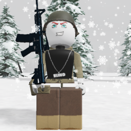 Bobs Military Campaign