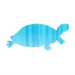 Turtle Force Studios
