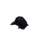 robloxian agency