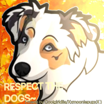 RESPECT THE DOGS