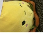 Qent is dog