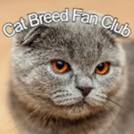 Cat Breed Fan Club
