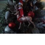 Elfs obby
