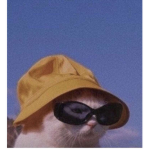 Łãrã.