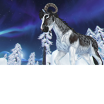 The riders of Jorvik