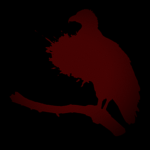 「 THE VULTURES 」