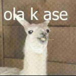 hola :P