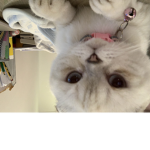 Hi mom hi mama hi miss you