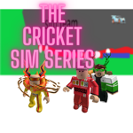 ####### sim team