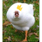 GooseLand kingdom!