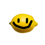 Lemon Establishment
