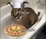 ItsHuman