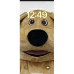 hello this is for andri