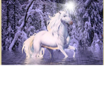 Cloudy's Unicorn Team