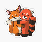 Panda and Fox clothing