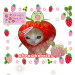 Strawberries_core