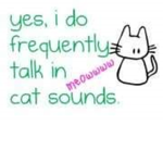 The Kat's Meow