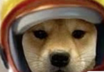 Gamerdog_x