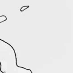🕊️