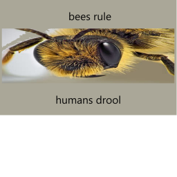 cart ride into a MASSIVE bee