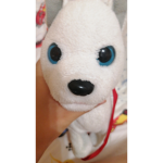 Grupul yoyo
