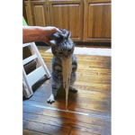 Ishskabsjsbsbbsbsb