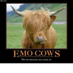 Emo cow's for life