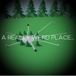 A SKIDDED PLACE...