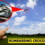 Survival the ITALIAN BRAINROT the Killers!