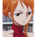 ONE PIECE SEARCHERS