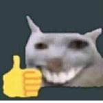 Zeros rat cult