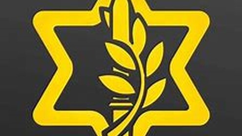 בואו להתגיים לצבא ישראל