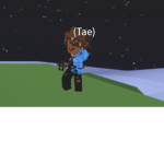 Tae’s fan group