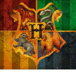 Sorting Hat!!!