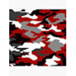 RSF - Raiding Special Forces