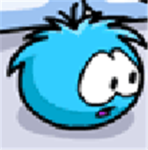 puffle club