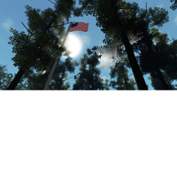The Forest