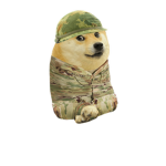 Military doge army for ever
