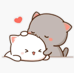 Mini cat