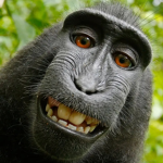 Monke Army official group